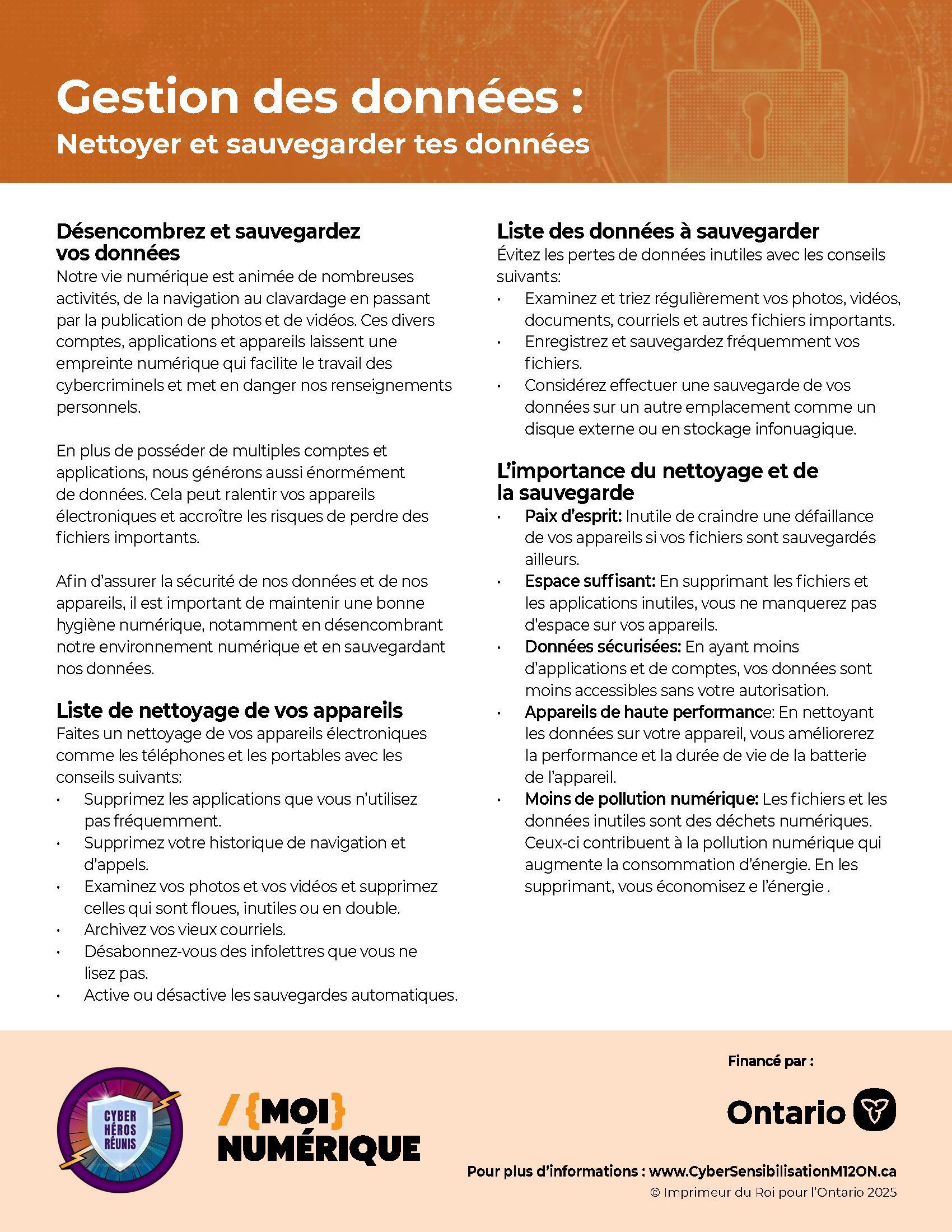 Image de la fiche d'information intitulée « Gestion des données »